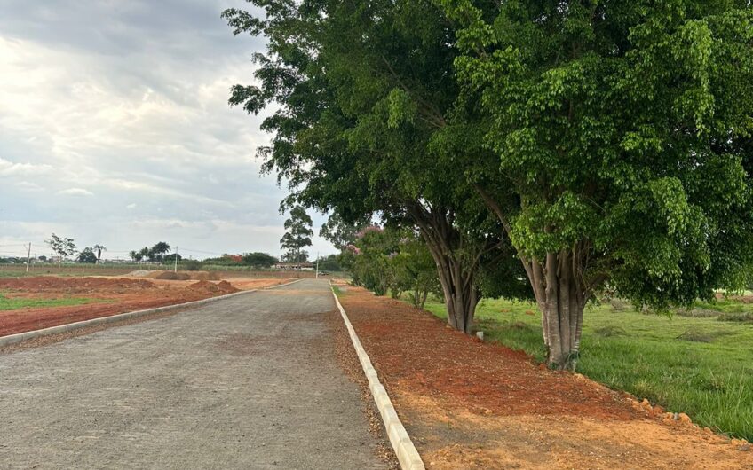 LOTES ÁREA INDUSTRIAL LAGO AZUL – 2707