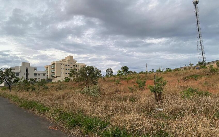 2254 – LOTES NO OURO BRANCO