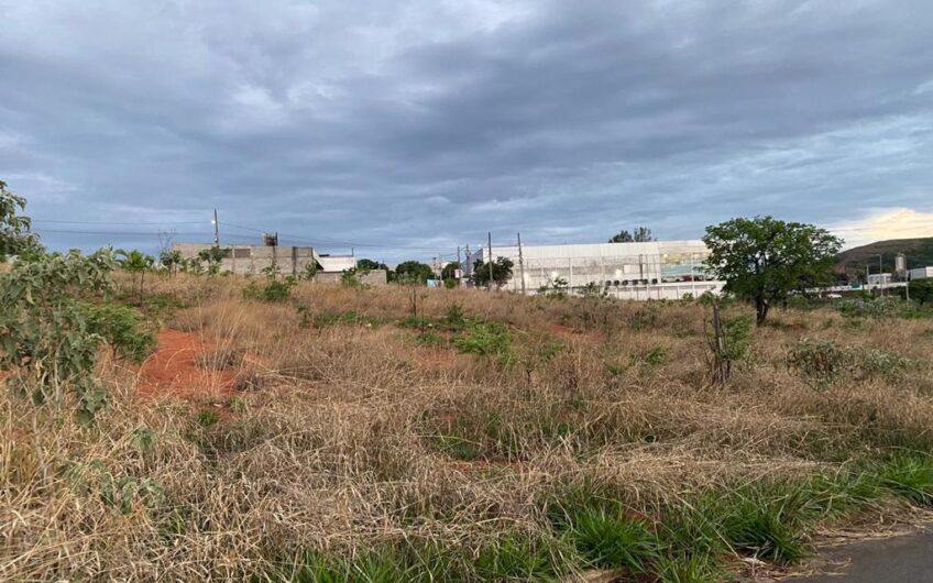 2254 – LOTES NO OURO BRANCO